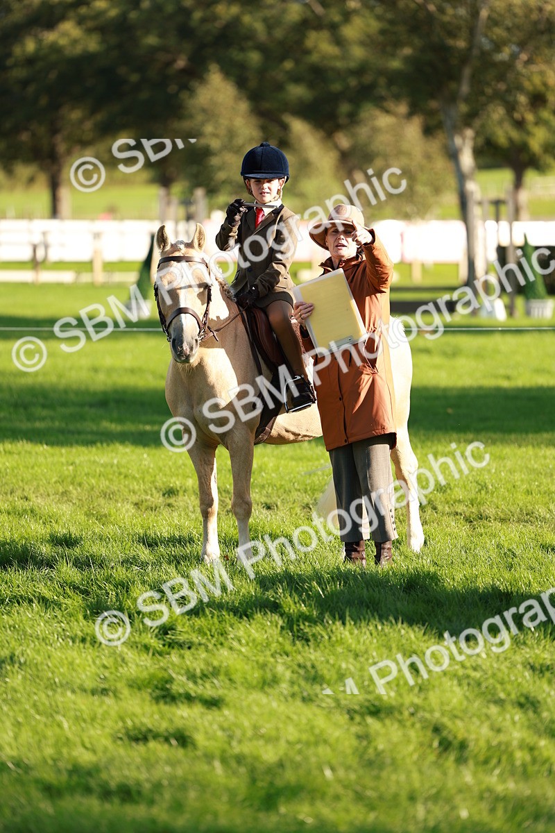 SBM_28752 - S7 - Novice & Newcomer Ridden Pony