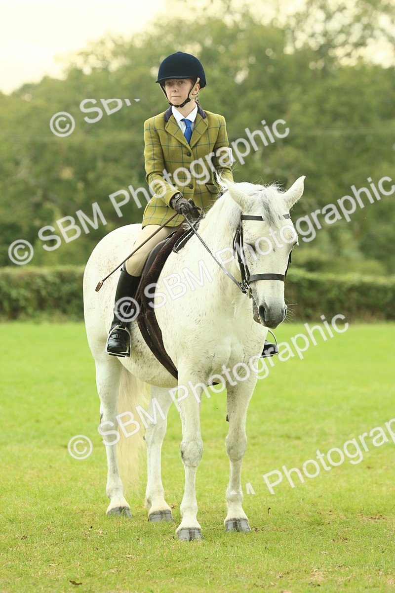 SBM_72210 - S60 - Mountain & Moorland Ridden Large Breeds