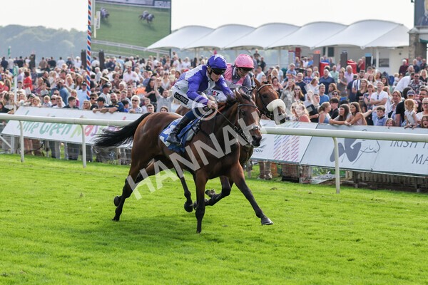 yr05092021r4-20 - Race 4 3.45pm Coopers Marquees British EBF Future Stayers' Novice Stakes