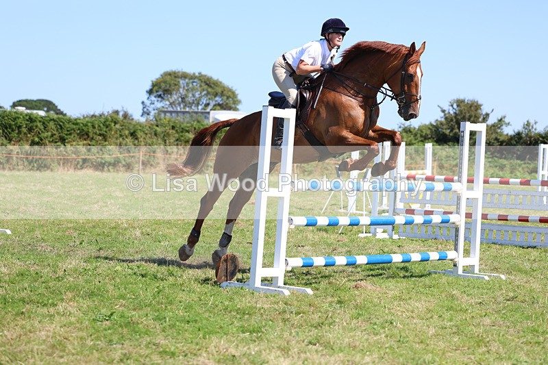 3E7A6439 - Class 13: Senior Newcomers/1.10m open