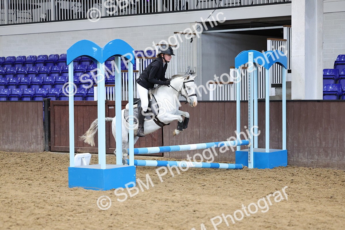 SBM_007346 - Class 2 - 50cm showjumping