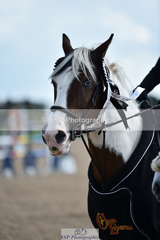 230902A-145056-01838 - Cls 3B Pony Medium 90cm