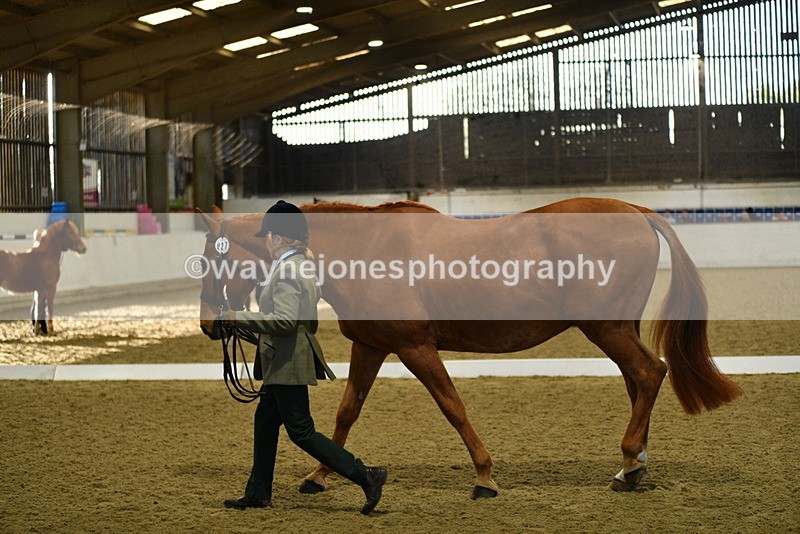 WJ5_3613 - Class 5 In Hand Veterans