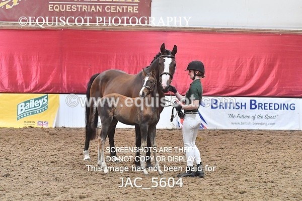 JAC_5604 - 13 Zi Real McCoy