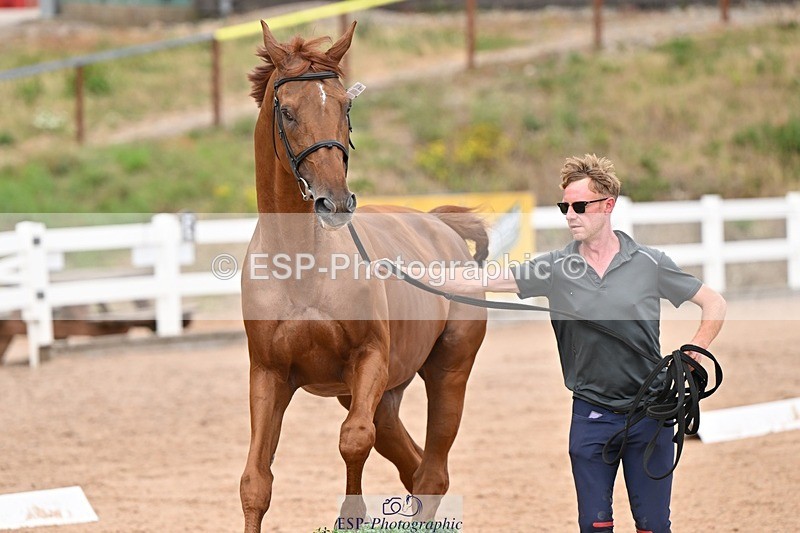 250716-163831-02697 - Trot Up 4.30 to 5.00