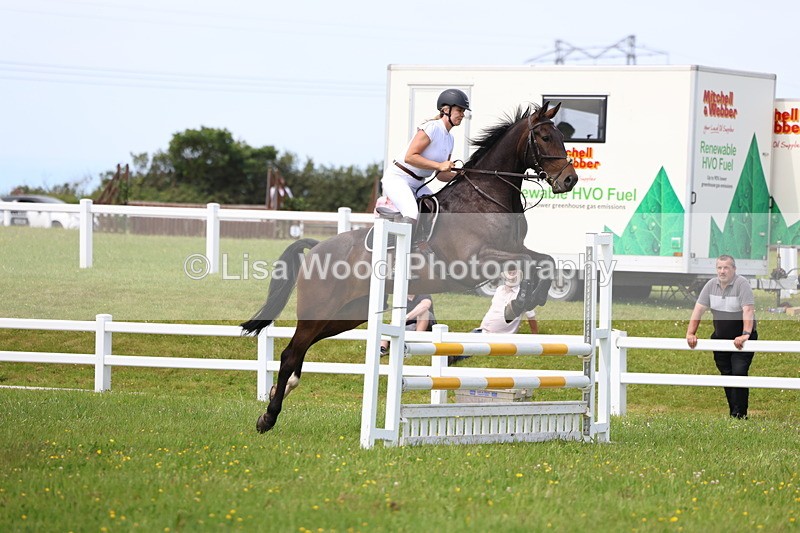 3E7A1489 - Class 13: Senior British Novice/90cm open