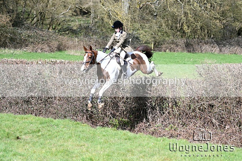 WJ7_6714 - Edited examples