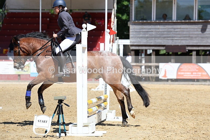 3E7A2378 - Class 4/5: 60cm Open Teams and Individuals