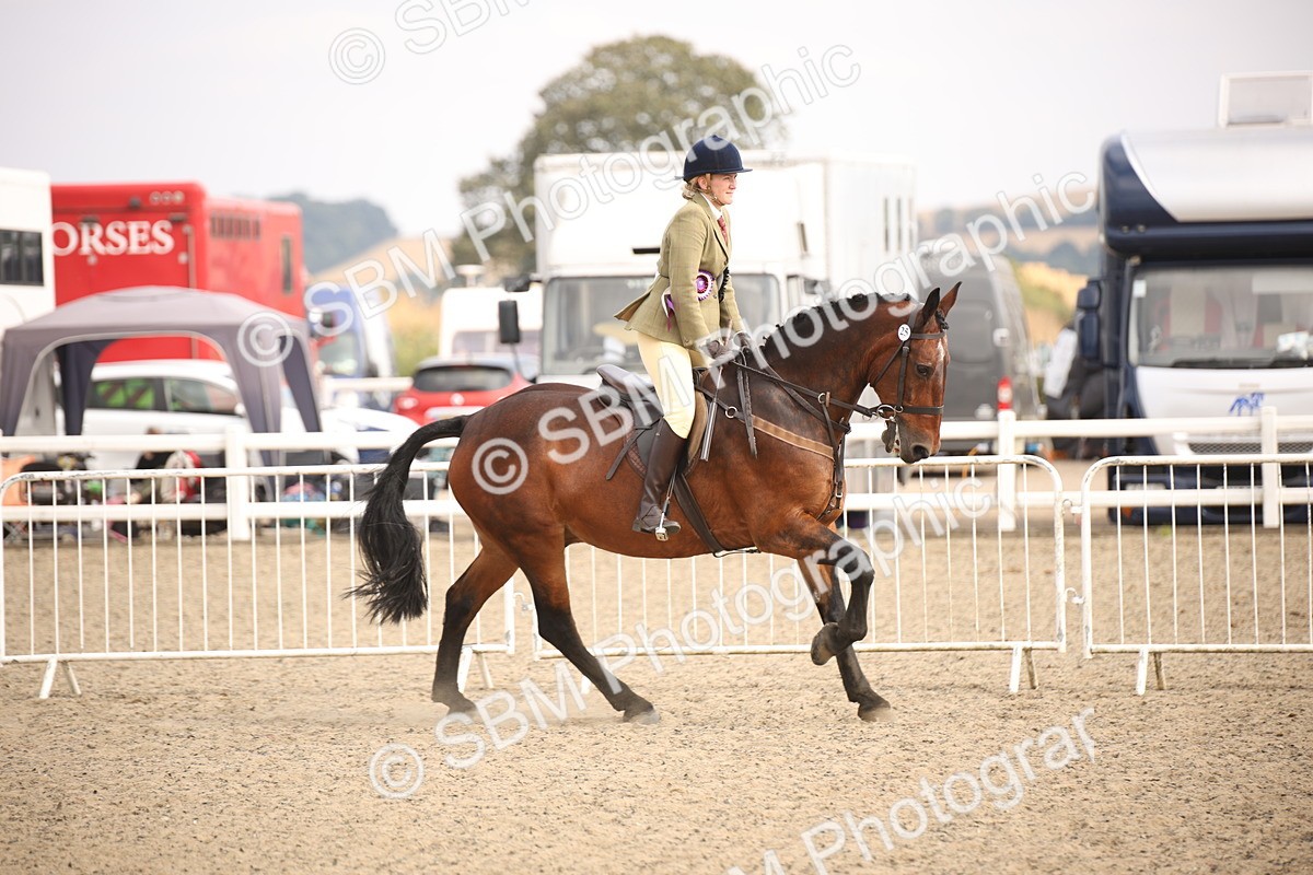 SBM_16116 - Class 408b - Working Veteran 70cm (20+)