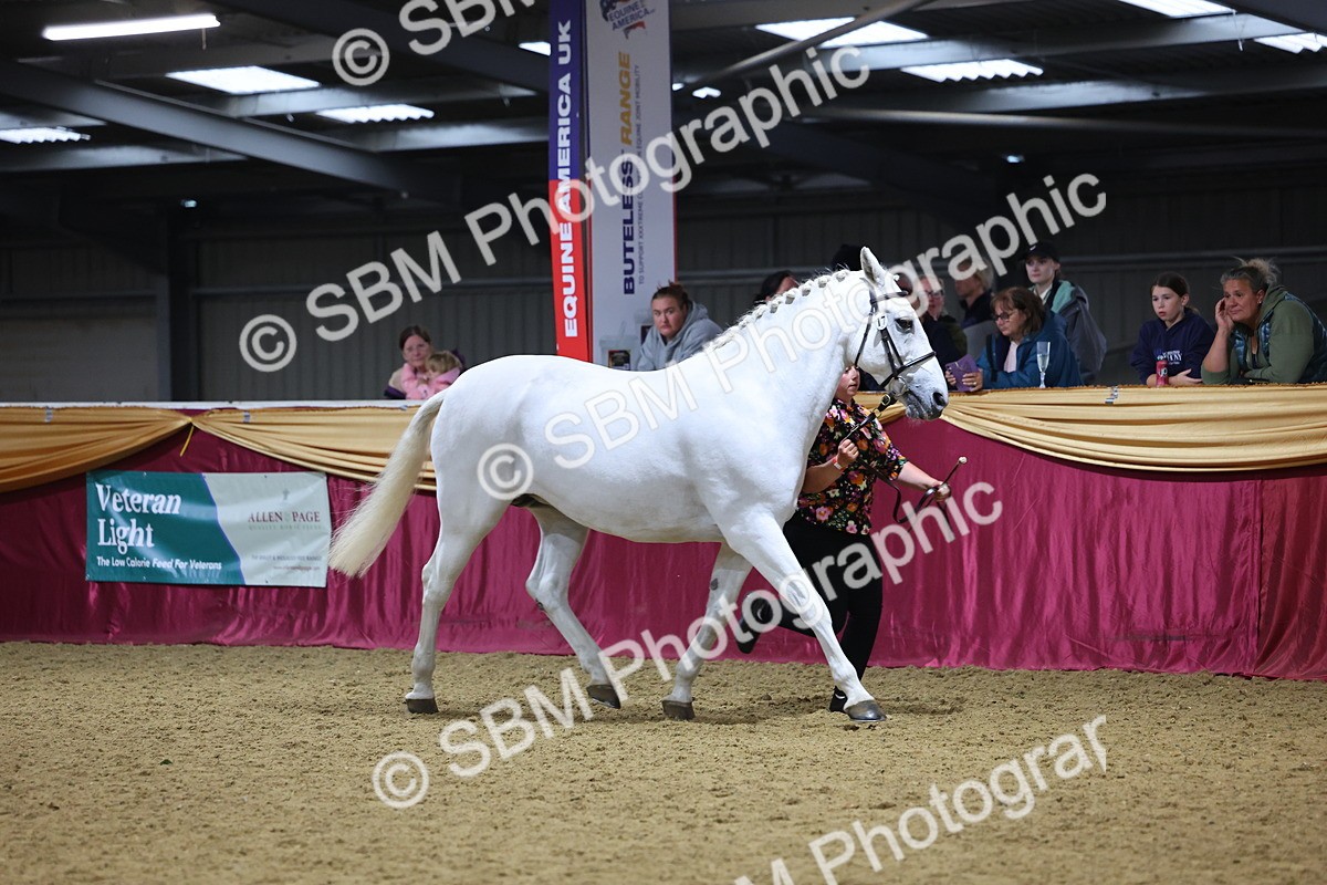 SBM_18797 - Class E IH Horse Champ