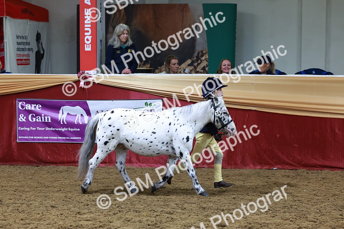 SBM_19934 - Class A - Junior Champ 10yr and Under
