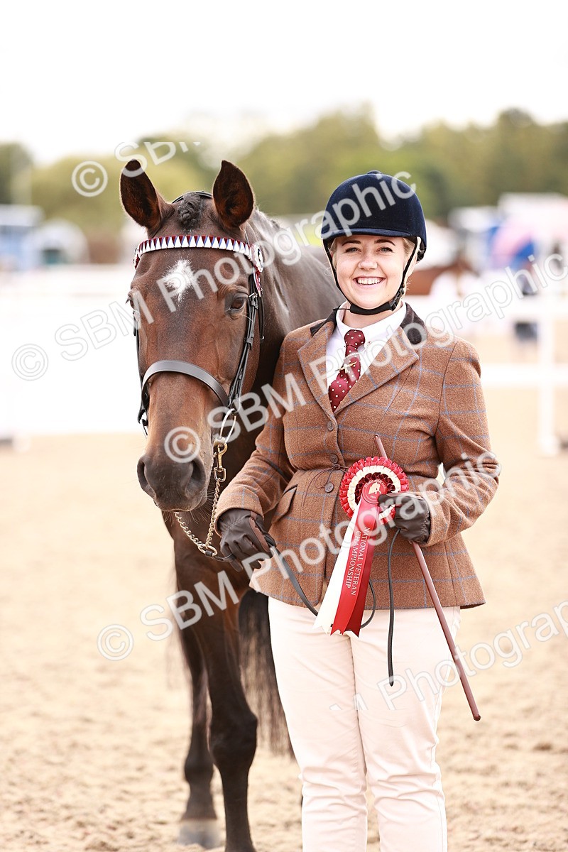 SBM_16365 - Class 413 - Best Condition - Adult