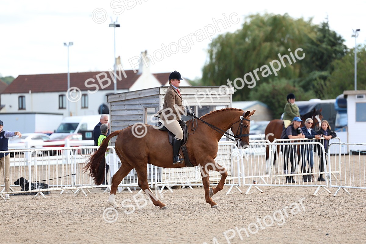 SBM_17199 - Class 315 - Best Horse - Rider Combination