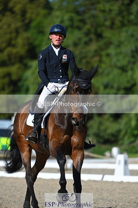 230526-172111-07582 - 262-TREAMBLE-Finn_Healy-WEDTrotUp+DR