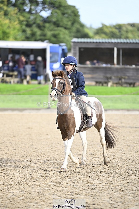 251005A-094551-03082 - Cls 03 GR 60cm