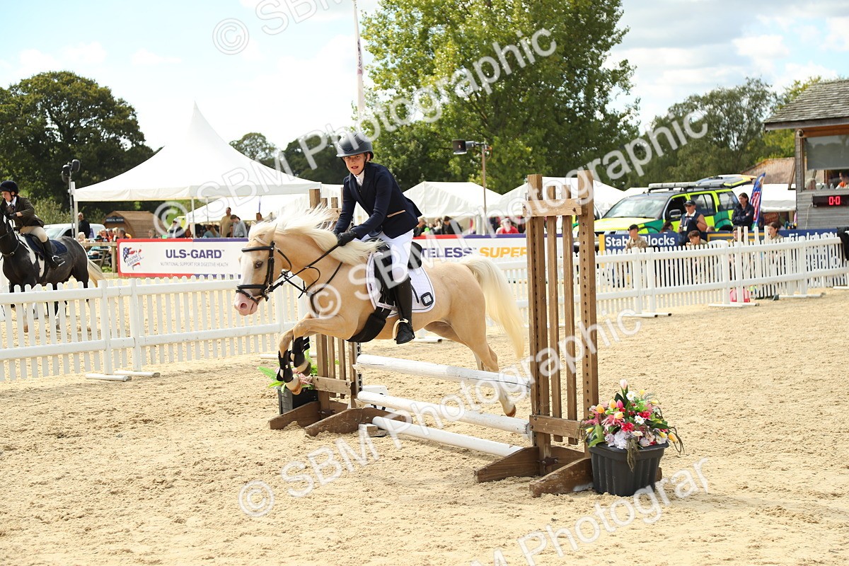 SBM_41438 - J6 - Junior Pony 55cm Championships