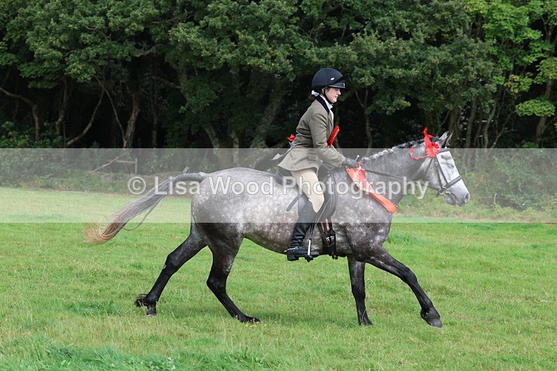 3E7A6206 - Working Hunter Championship