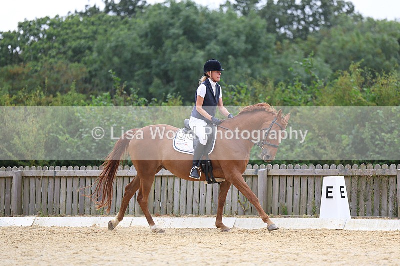 3E7A7446 - Class 9: Elementary 4 2024 - No sections