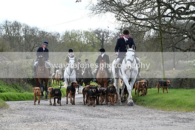 WJ7_9794 - Walk Home