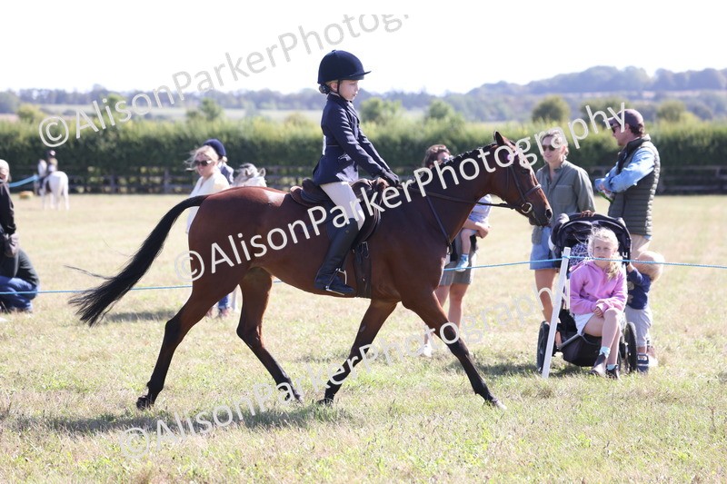 20260906-2244 - Class 16 - Family Pony