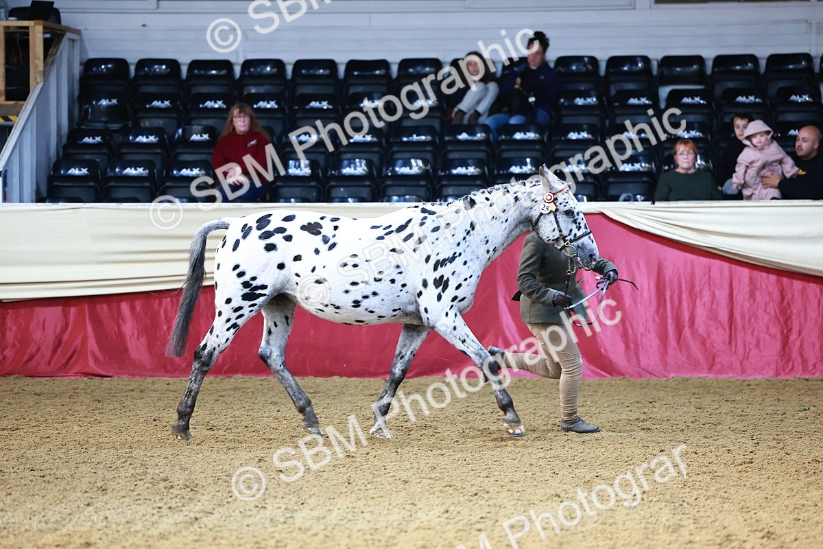 SBM_21781 - Class 901 - Supreme Final - IH  Diamond
