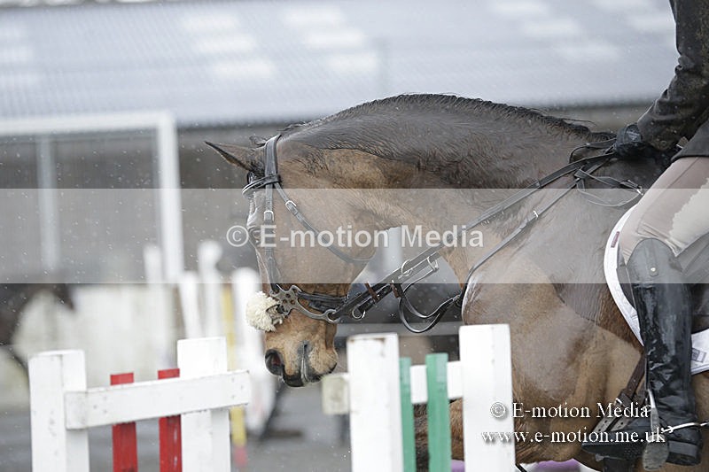 BVRC 050320 0240 - Bourne Valley riding Club Show Jumping Tidworth 08/03/20