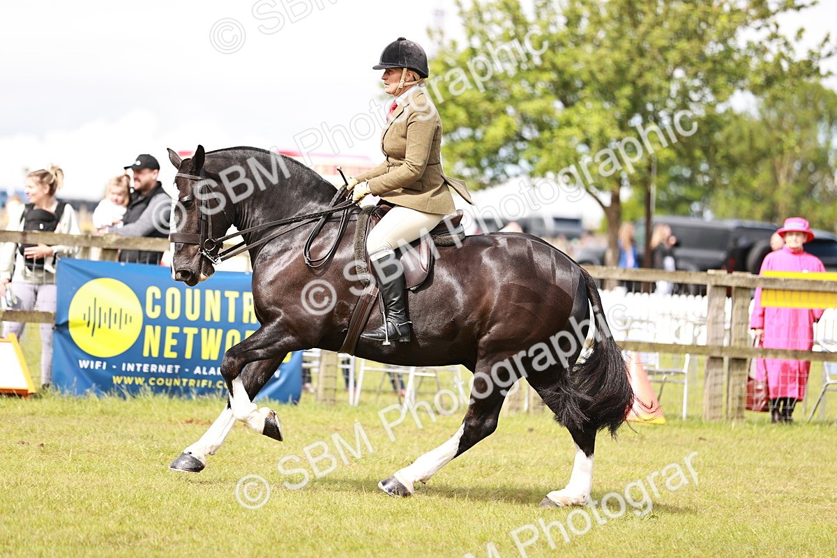 SBM_13101 - Class 85-87 - RIHS Cobs