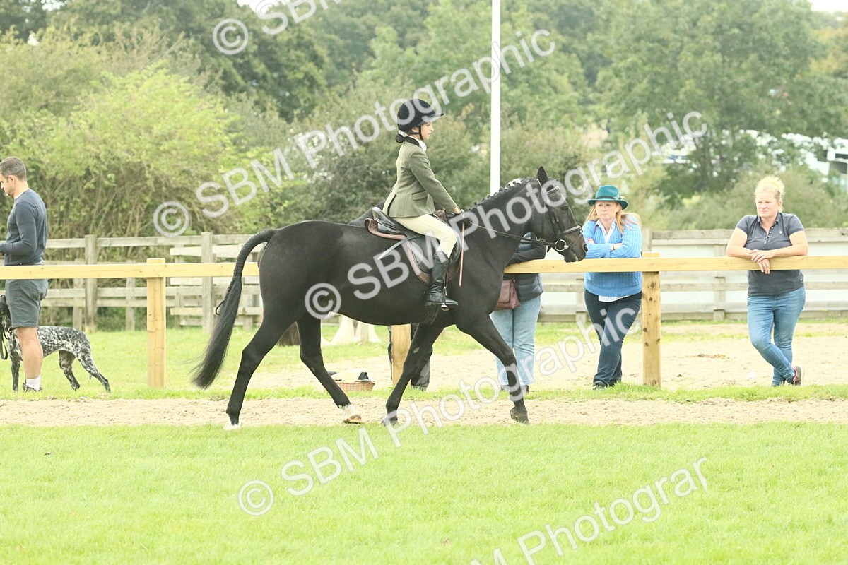 SBM_73977 - S 61 - Show Pony & Show Hunter Pony Ridden