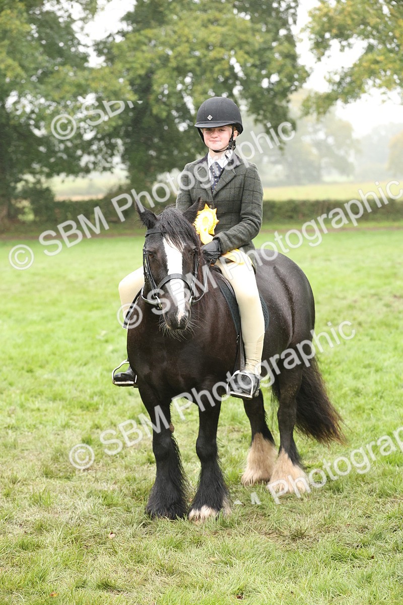 SBM_72856 - S70 - Traditional Cob Ridden