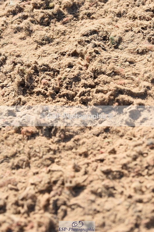 230915A-153518-00828 - Cls 13 1.10m Amateur Qualifier & 1.10m Open