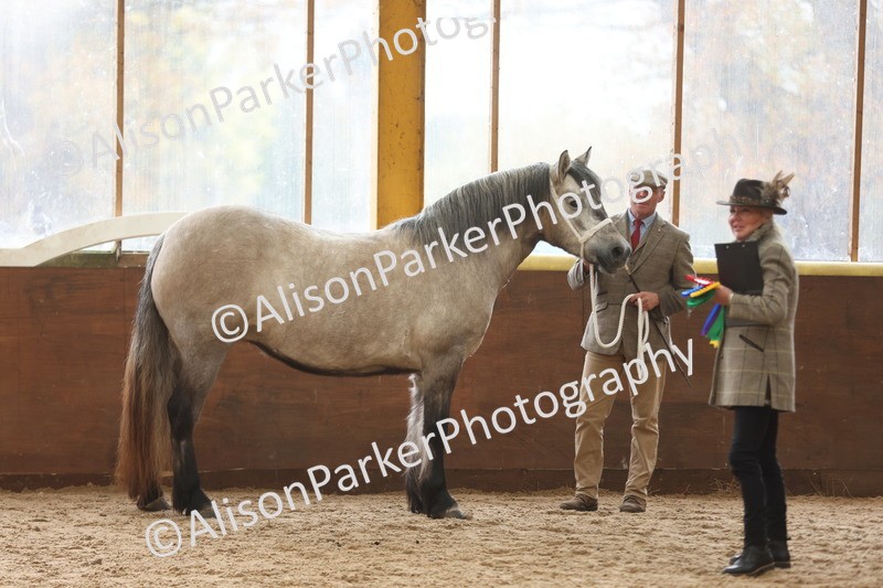 20251109-0878 - Class 26 - 2 and 4 Year Olds