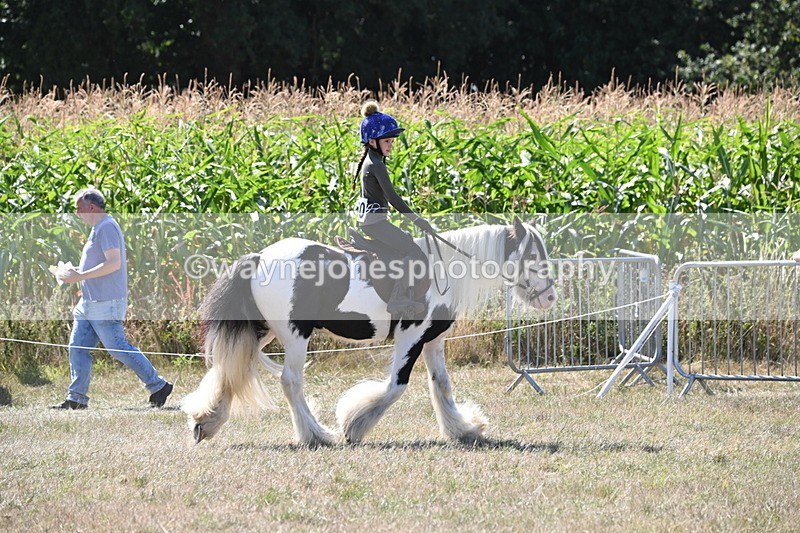 WJ6_8956 - Class 38 Ridden Riding Horse/Pony