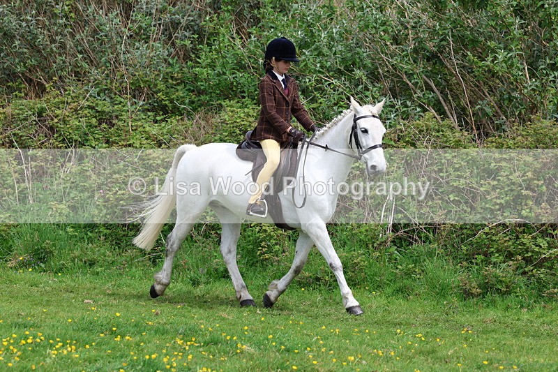 3E7A1682 - Class 9: Riding Club Horse/Pony