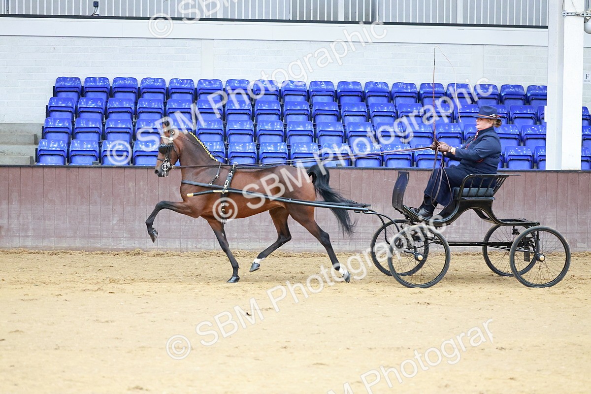 SBM_000639
