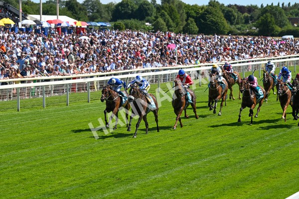 120725-Race 3-Fox Legacy-5667 - Race 3 3.10pm John Smith's Cup Handicap