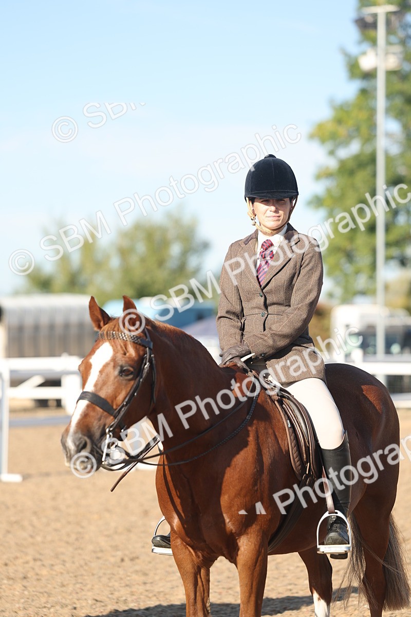 SBM_11050 - Class 302 - Ridden M&M Large Breeds