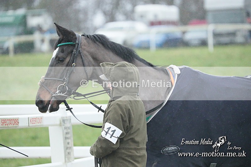 PtP 101223 175 - New Forest Hounds PtP Larkhill 10/12/23