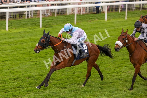 250524-Race 4-Term Of Endearment-3151 - Race 4 3.20pm William Hill Bronte Cup Fillies' Stakes