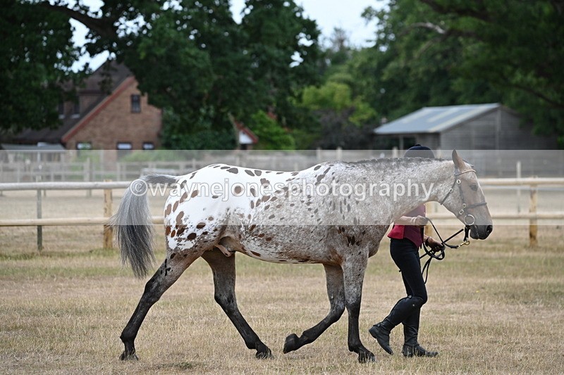 WJ6_7822 - Class 10 Coloured in Hand