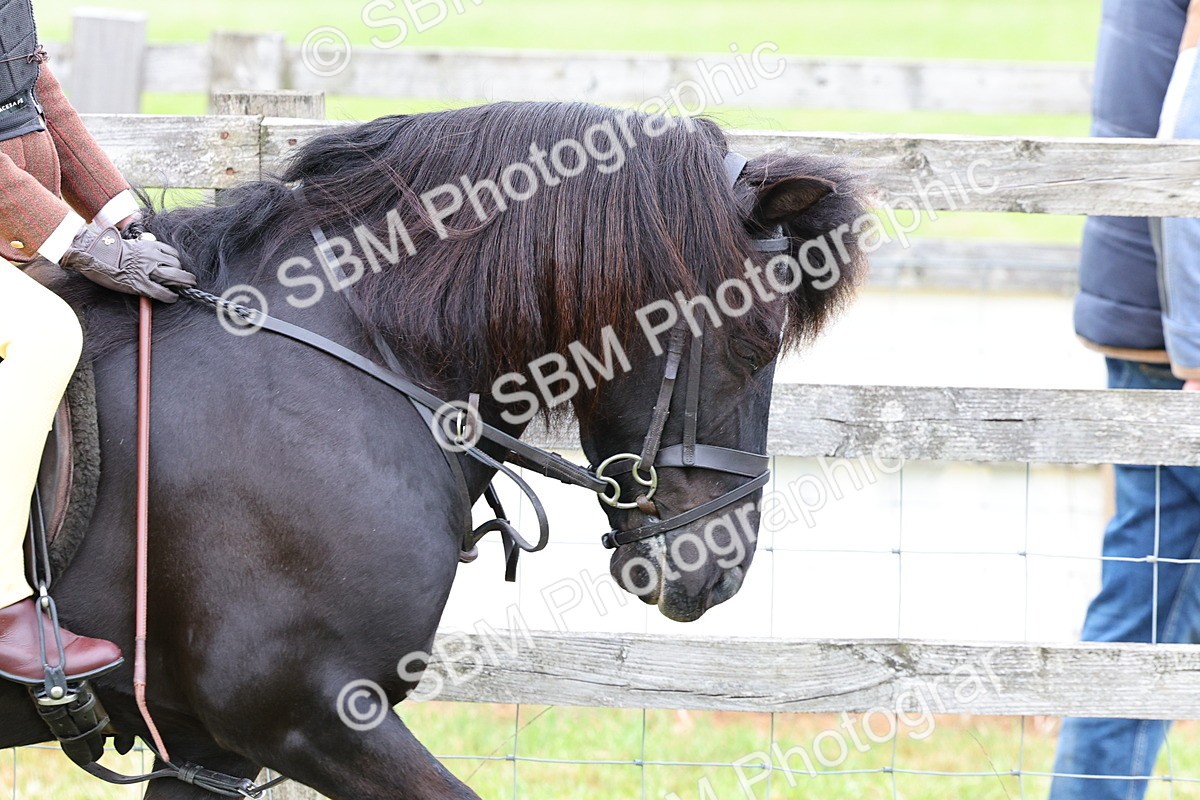 SBM_08427 - Class 42-43 - LIHS BSPS Heritage Working Sports Pony