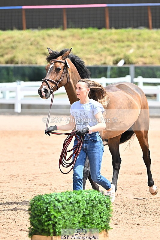 240718A-105305-01534 - Trot Up 12pm to 1pm