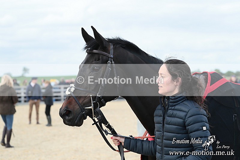 PtP 050525 585 - Mollington Races 05/05/25