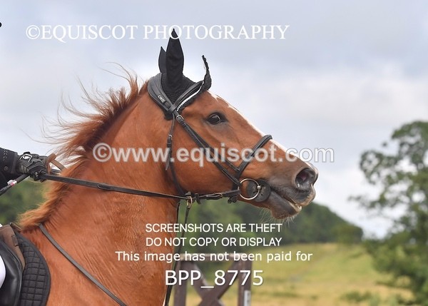 BPP_8775 - CLASS 4  Senior Discovery/ 1m Open