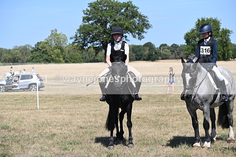 WJ6_8406 - Class 37a Best Loan Pony Ridden