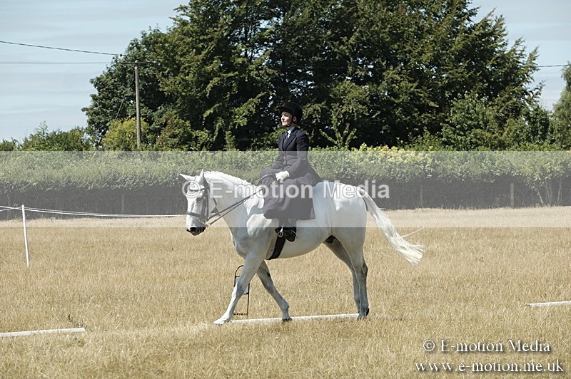 _PJP5960 - Dressage Classes BVRC Show 2018