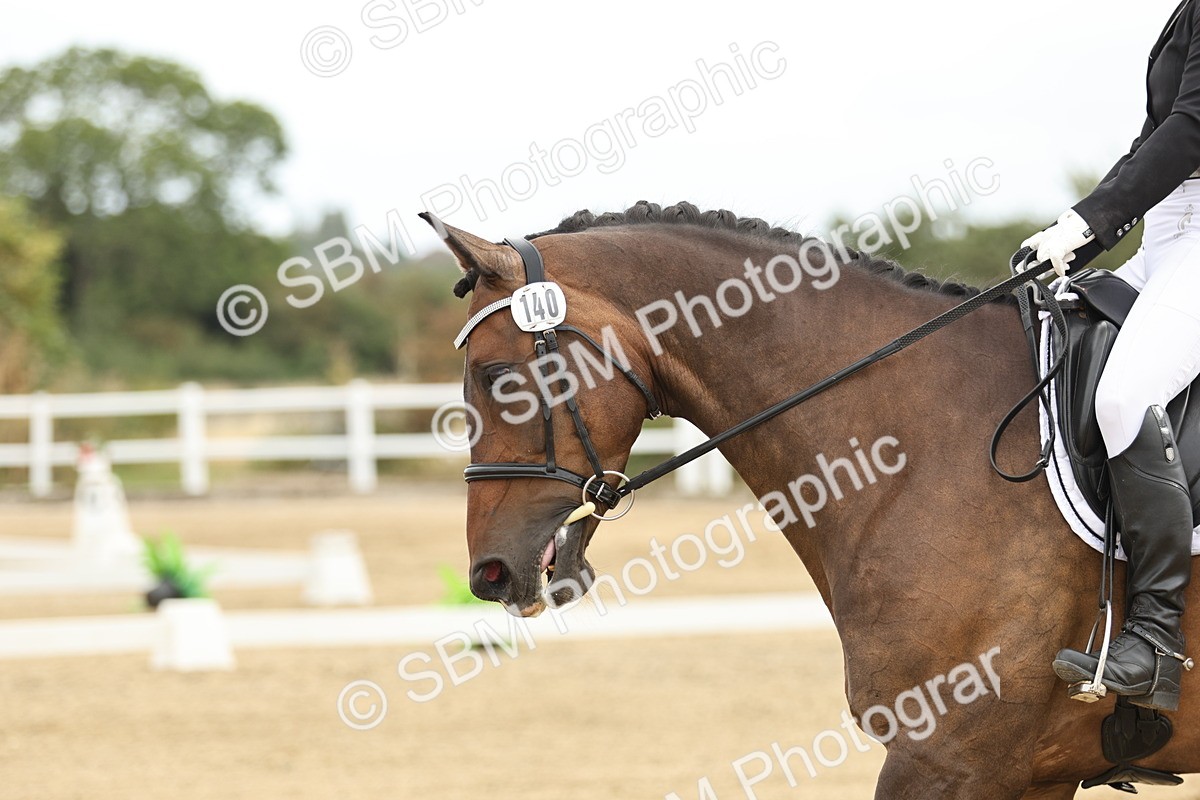 SBM_006566 - Class 21 - Medium 5 Bronze - 9.08-9.48