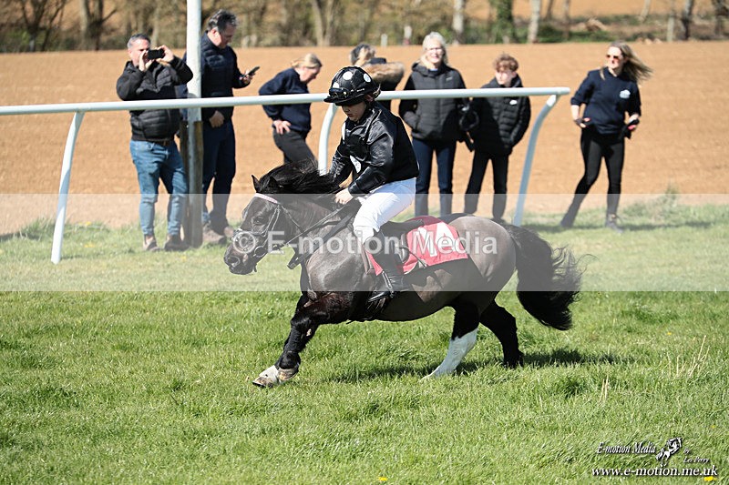 Shet 060426 329 - Shetland Pony Racing Paxford Races Easter Mon 06/04/26