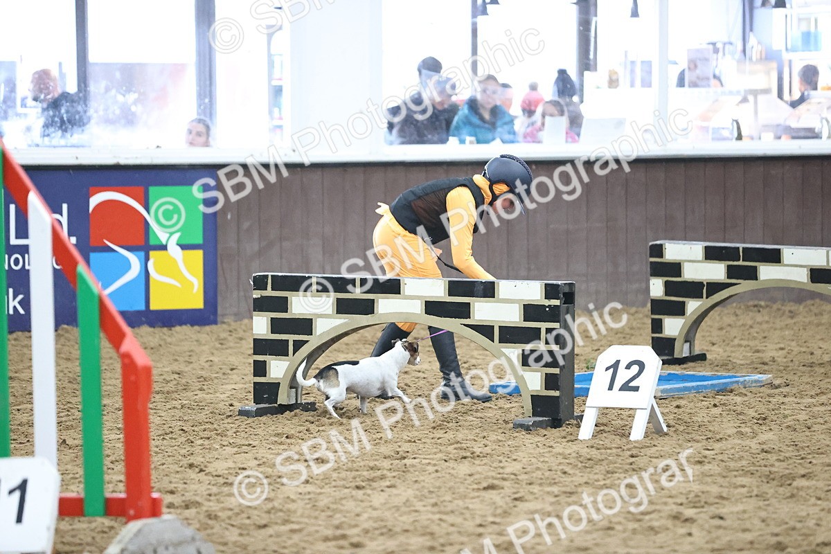 SBM_001242 - Class 3 - Horse & Hound 60cm