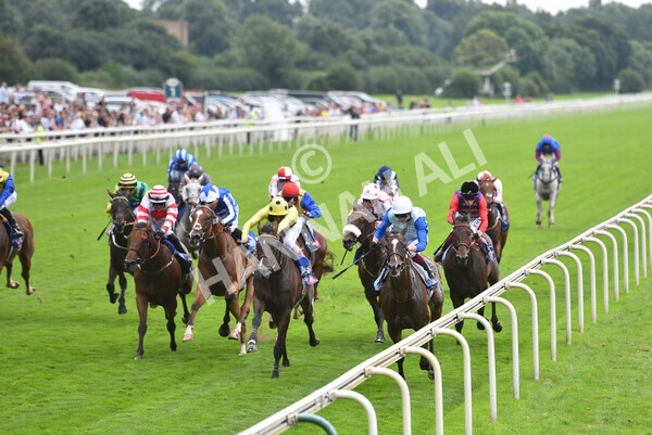 yr20082021r1-27 - Race 1 1.50pm Sky Bet Stakes