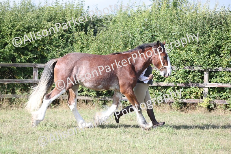 20250831-1353 - Class 21 - Inhand Open